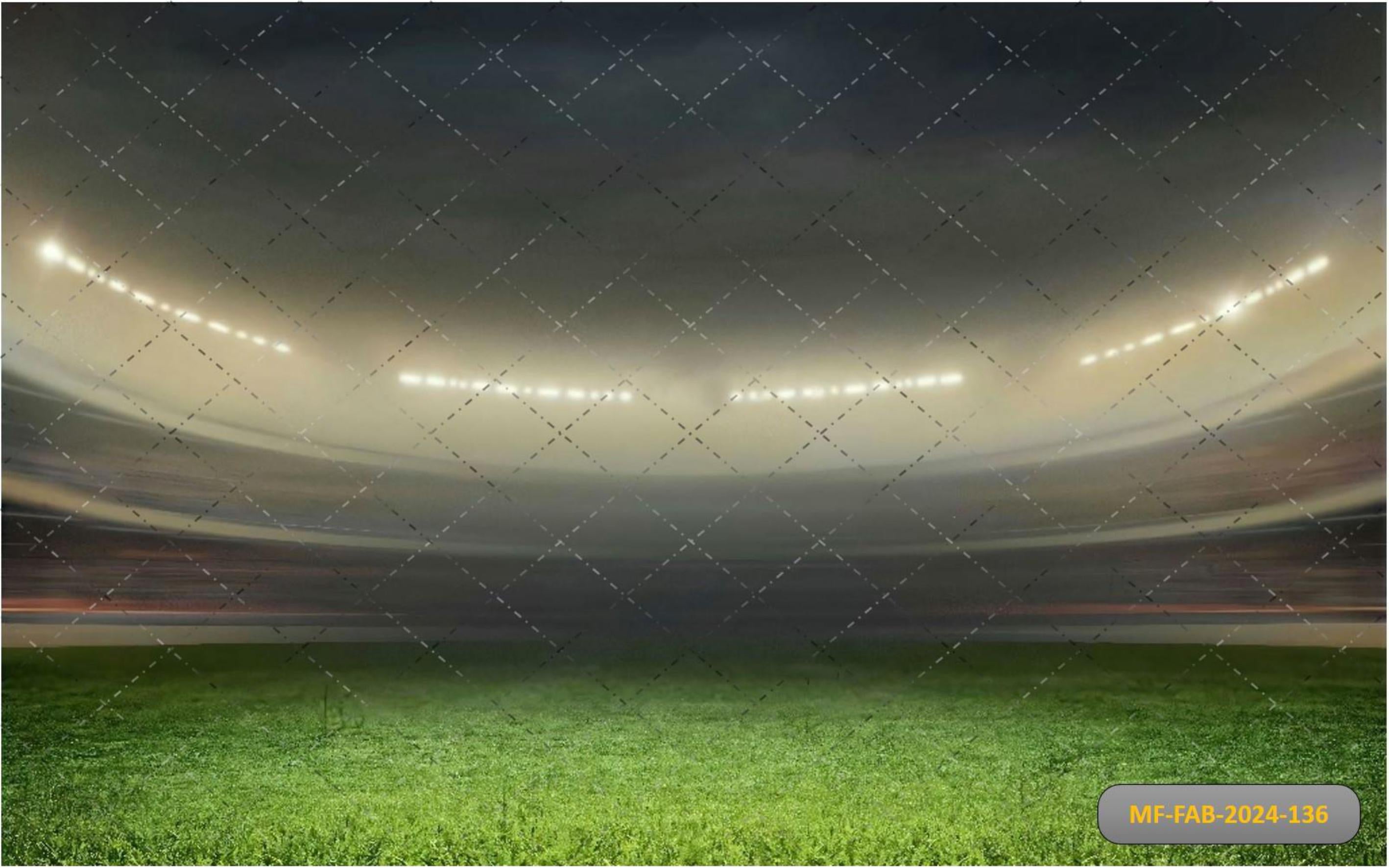 Cricket Stadium Backdrop