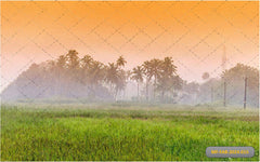 Famer Land babyphotoshoot Backdrop