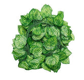 Artificial Green Plant Creeper - 12 pieces