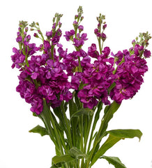 Artificial Lavender Delphinium flower