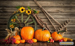 Pumpkin With Sunflower babyphotoshoot Backdrop