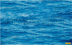 Mermaid Ready to Shoot Baby Shoot Theme