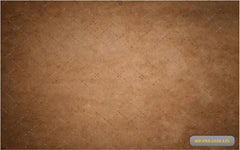 family portrait,maternity photoshoot