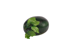 Artificial Fruit-Watermelon