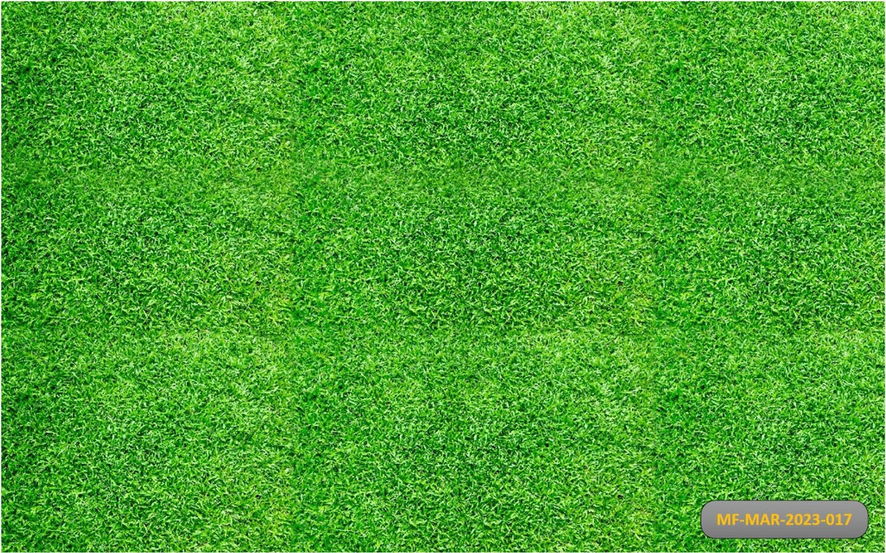 Light Green Grass babyphotoshoot Backdrop