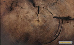 Wooden Crack babyphotoshoot Backdrop