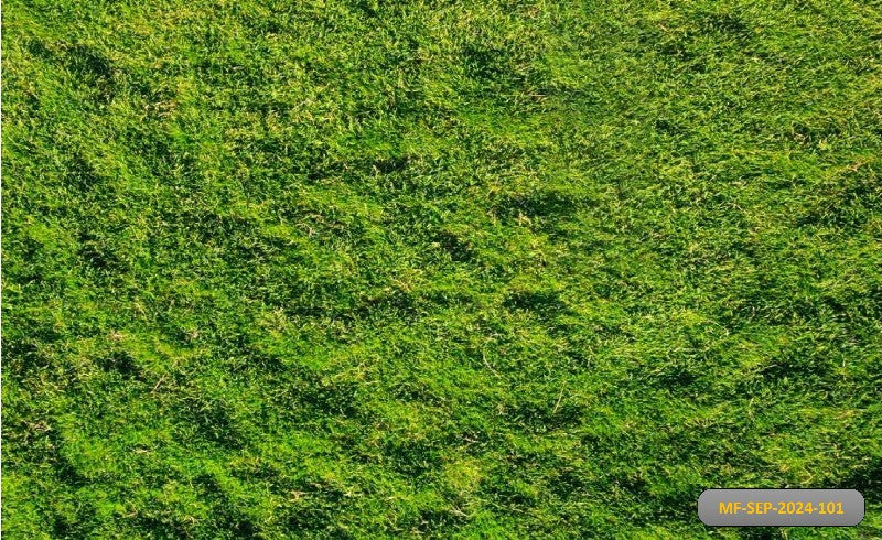 Mountain Green Grass babyphotoshoot Backdrop