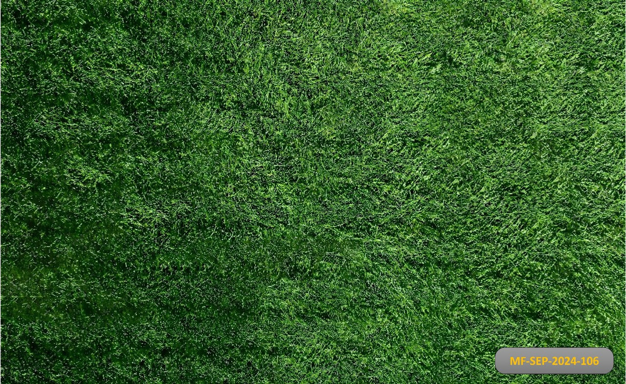 Dark Green Grass babyphotoshoot Backdrop