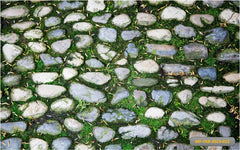 babyshoot backdrop Rock With Grass Backdrop
