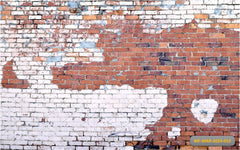 Damage Bricks Wall Backdrop