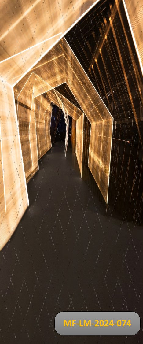 maternity backdrop. family backdrop