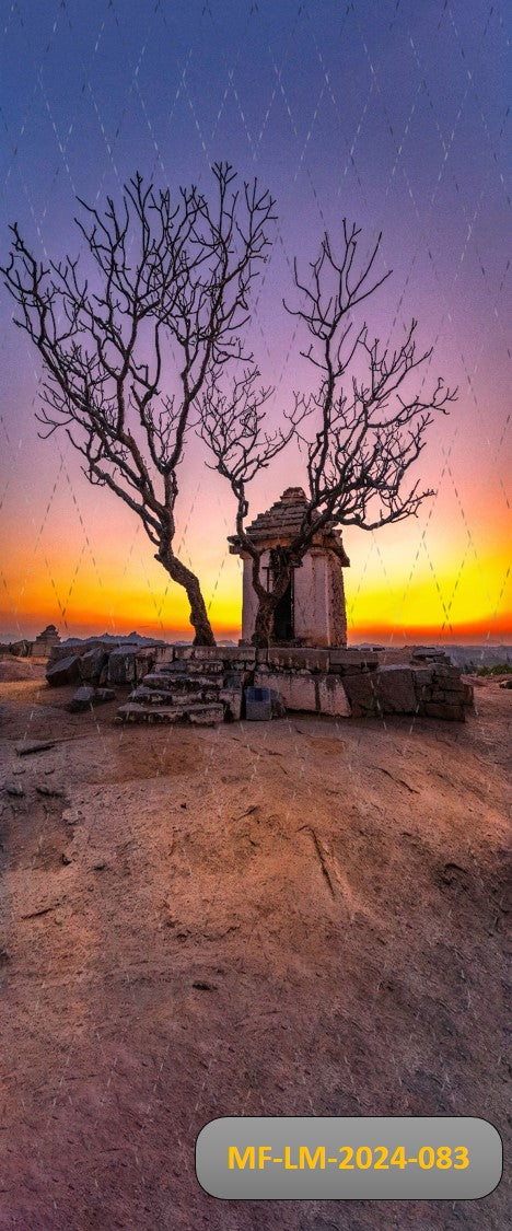 portrait backdrop, couple photoshoot ,maternity backdrop