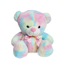 Multi color Teddy Bear