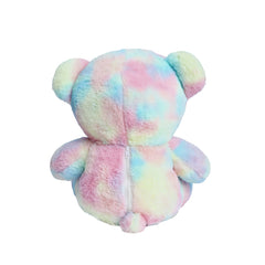 Multi color Teddy Bear