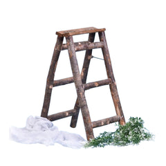 Rustic Ladder