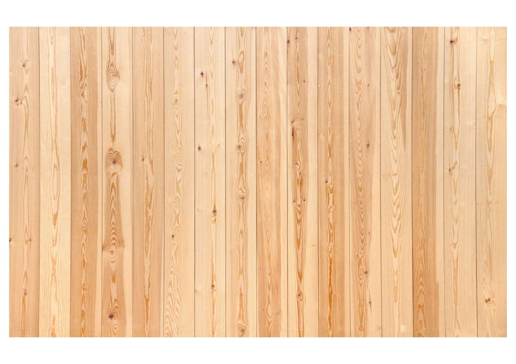 Light Brown Backdrop