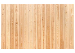 Light Brown Backdrop