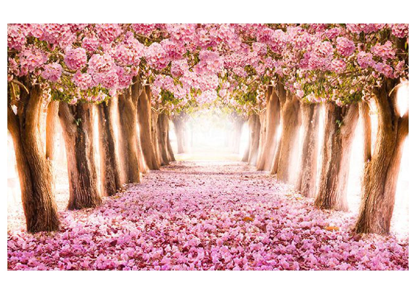 Pink Color Forest Backdrop