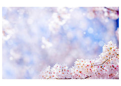 Pink With White Flower Backdrop