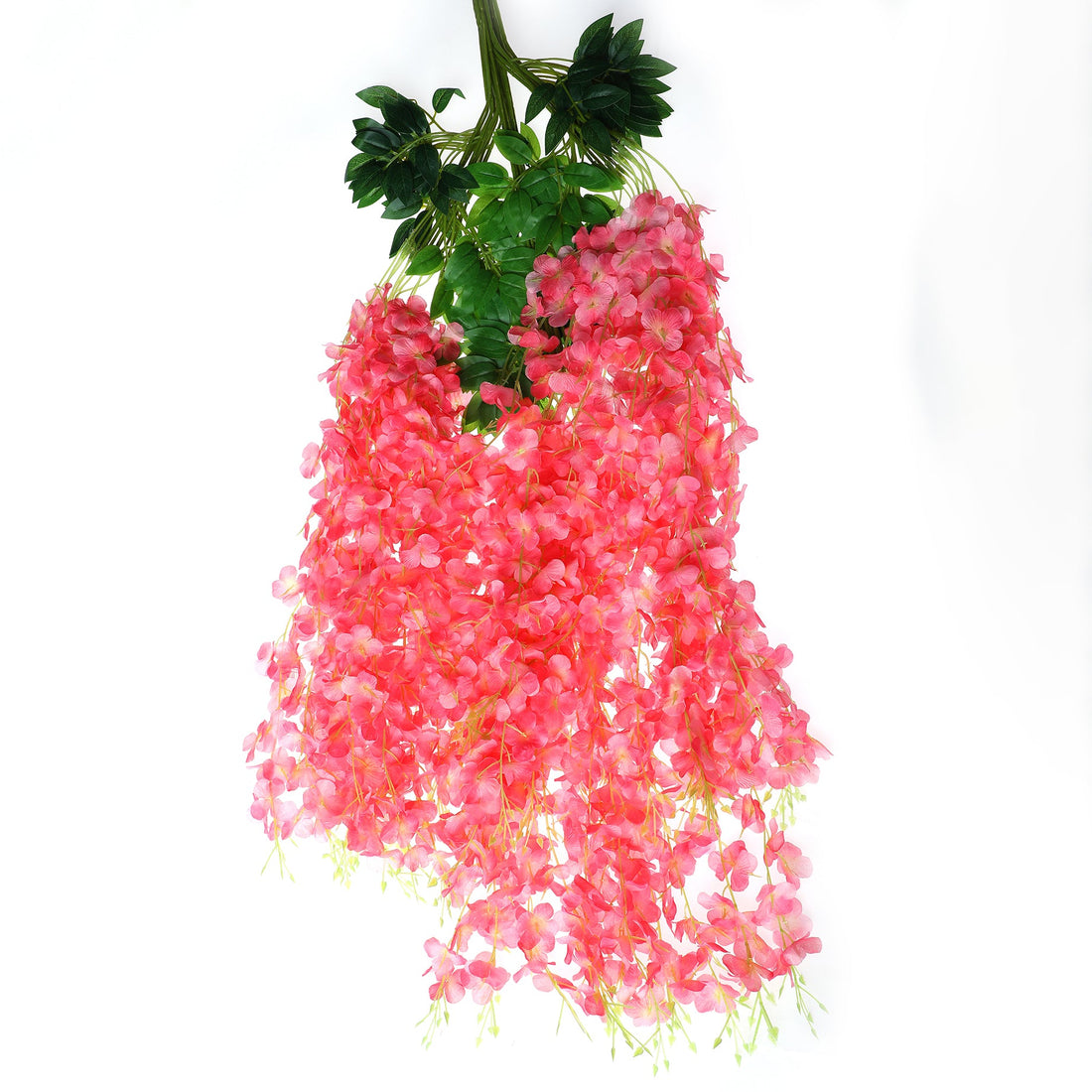 Creeper Flower