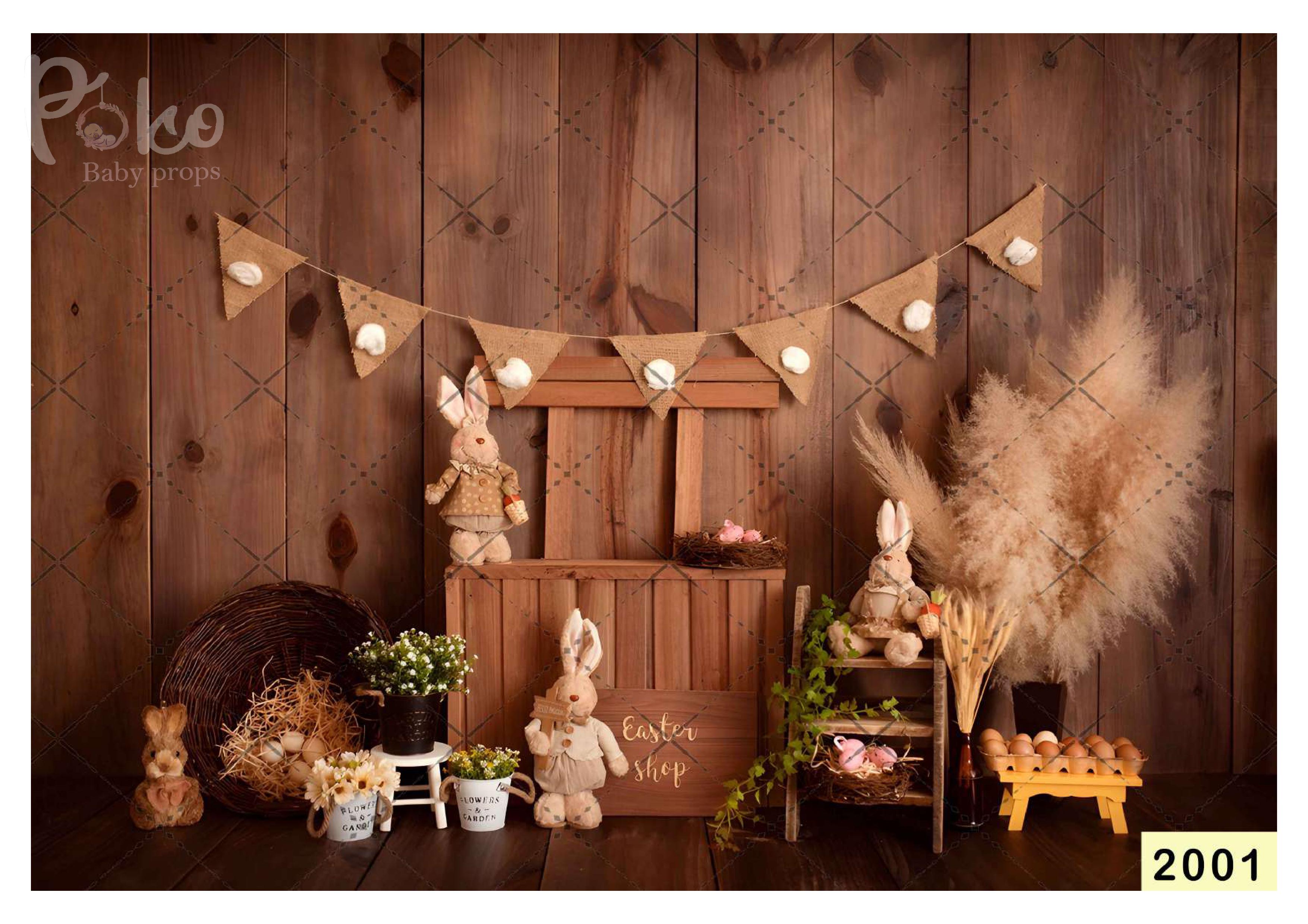 Bunny babyphotoshoot Backdrop