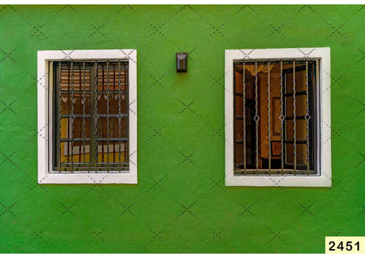 Fabric Backdrop-Green Wall Window Backdrop