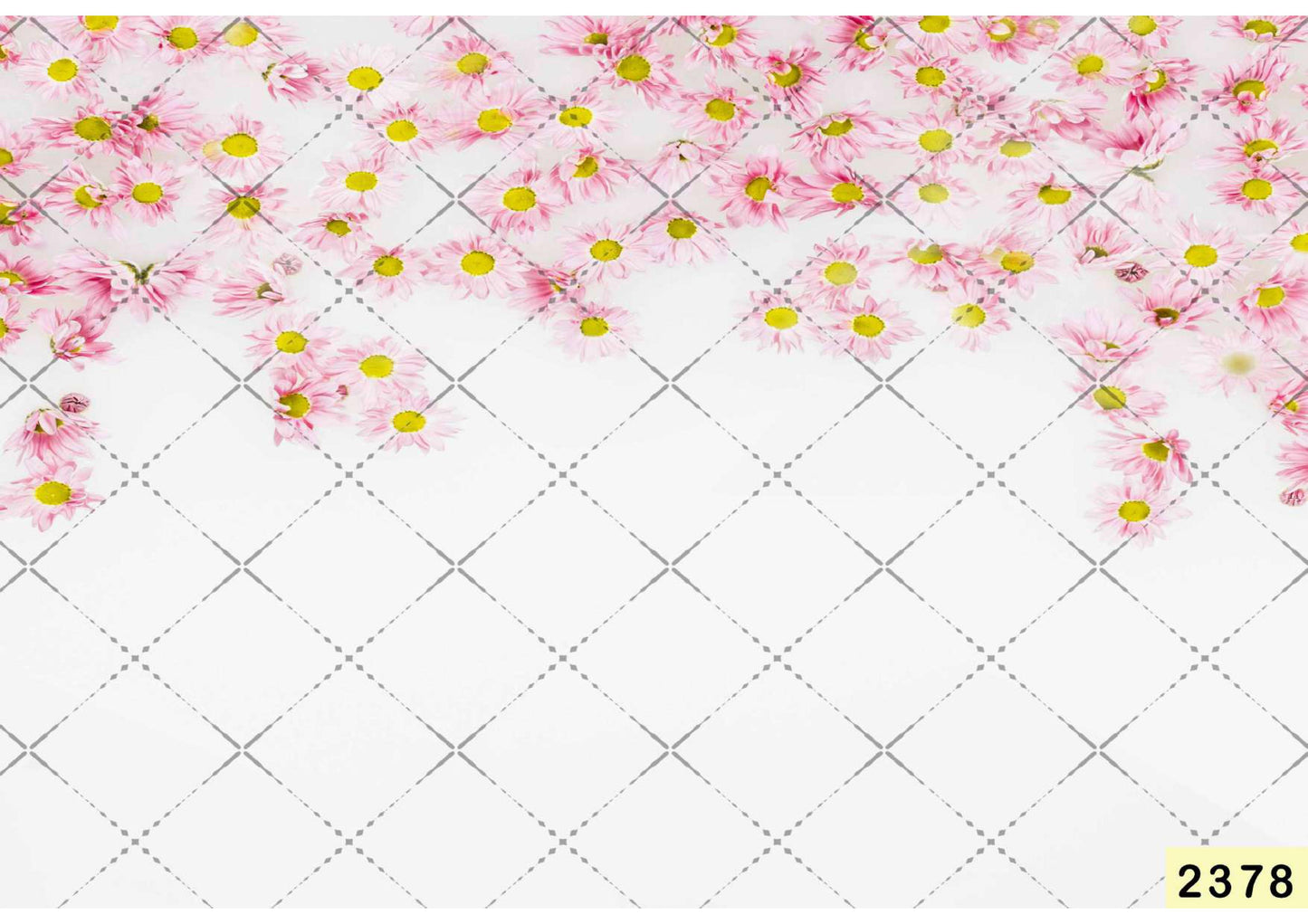 White With Pink Flower Backdrop