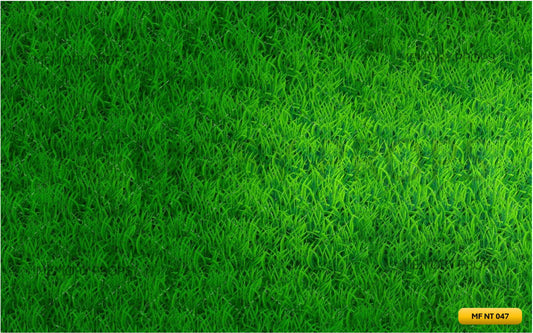 Fabric Backdrop-Light Green Backdrop