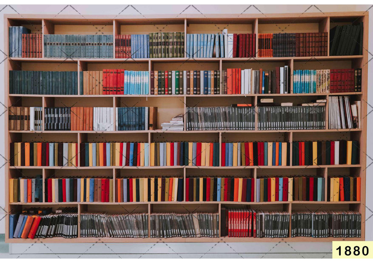 Library Backdrop