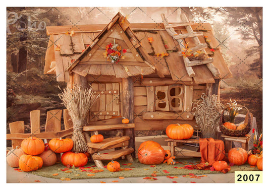 Fabric backdrop-Pumpkin Backdrop