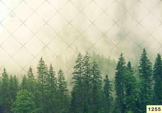 Fabric backdrop-Grass Forest Backdrop