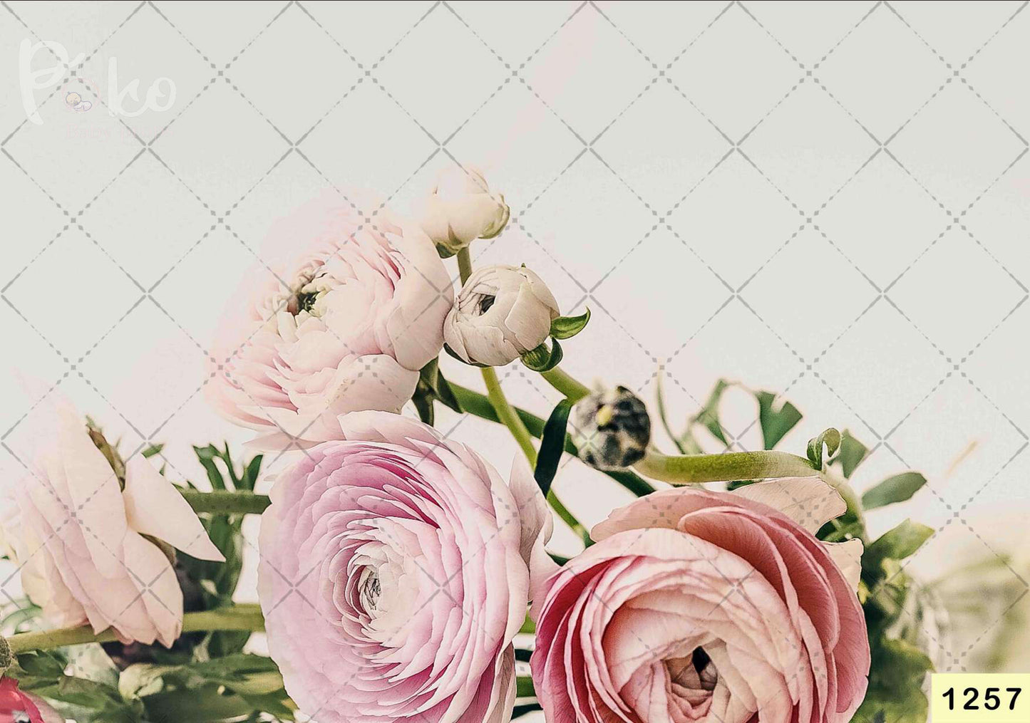 Pink Rose Floral Backdrop