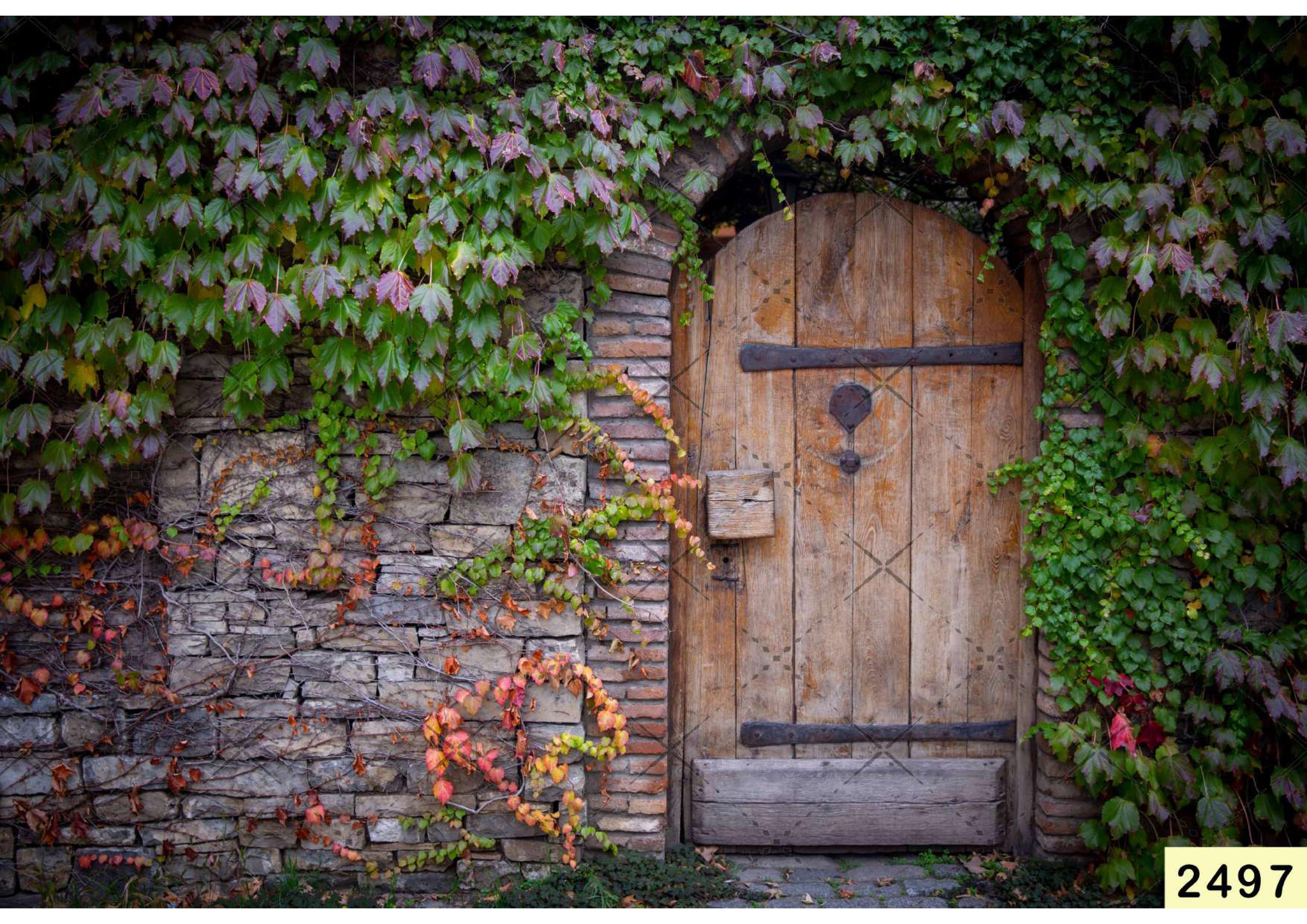 Wooden Door Creepers Floral babyphotoshoot Backdrop