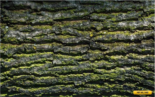 Green Moss Wall Backdrop