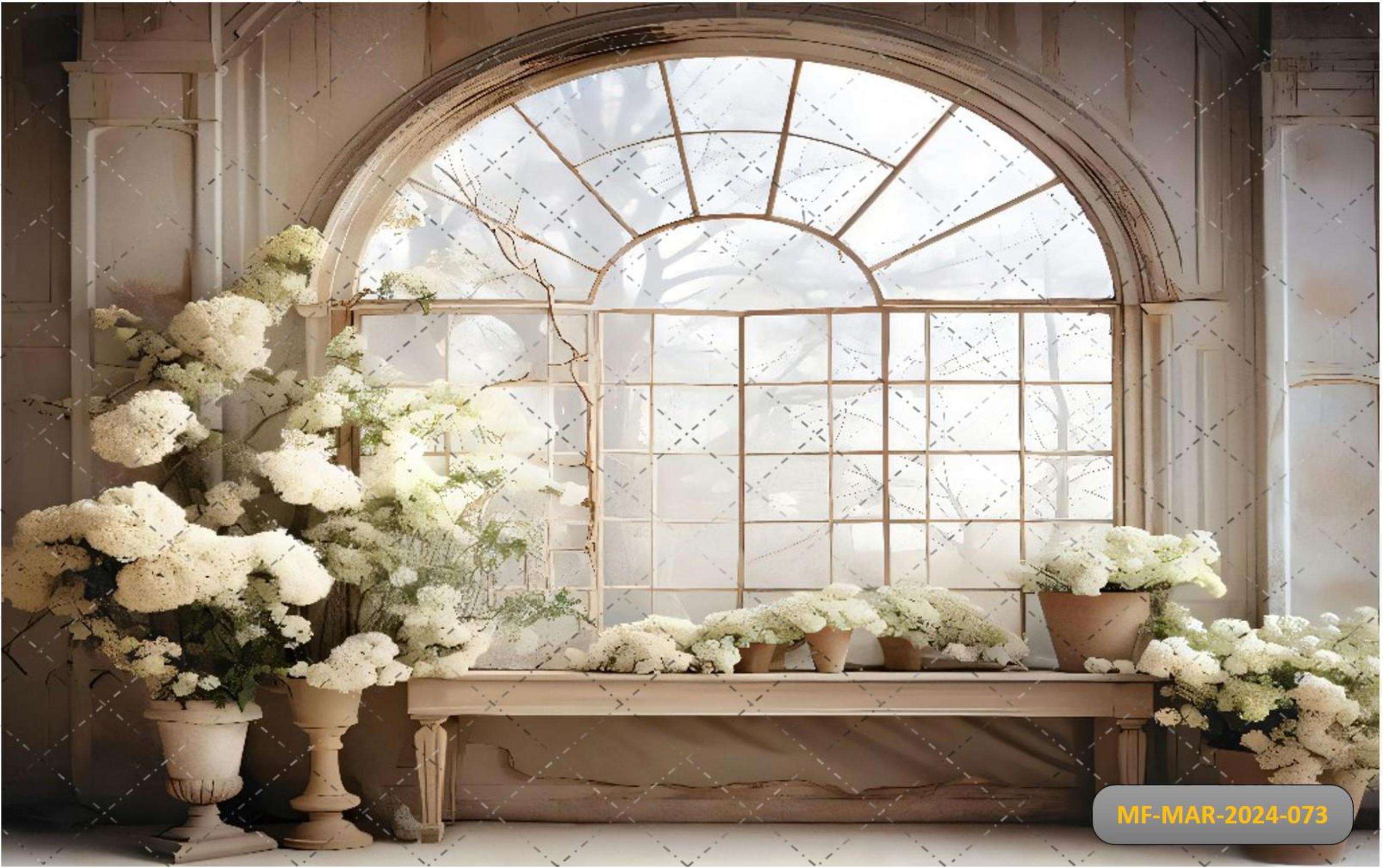 Window White Flower babyphotoshoot Backdrop