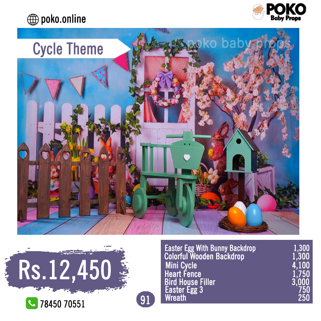 package detail of cycle theme