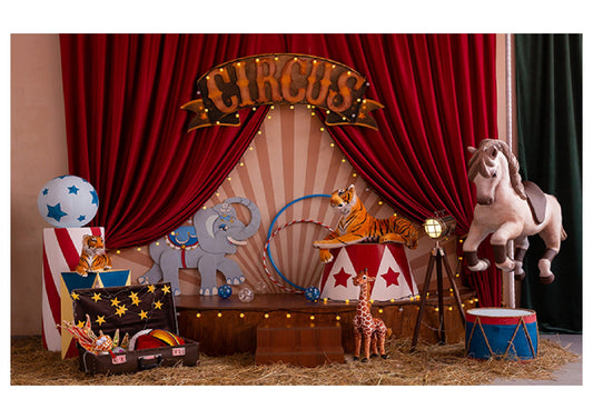 Fabric Backdrop-Circus Indoor Backdrop