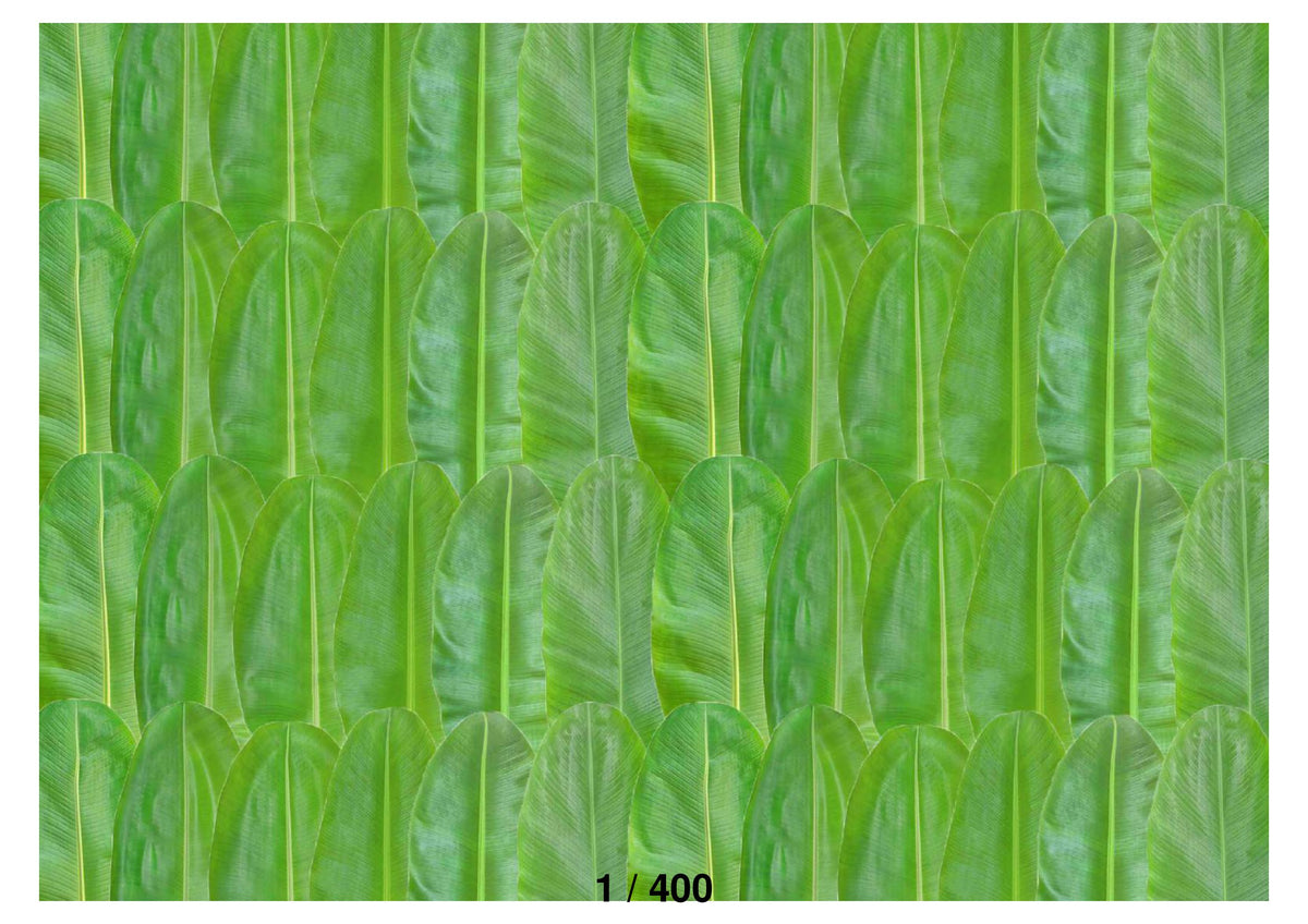 Banana Leaf Backdrop