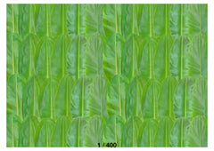 Banana Leaf Backdrop