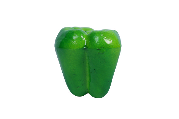 Artificial Vegetable-Capsicums