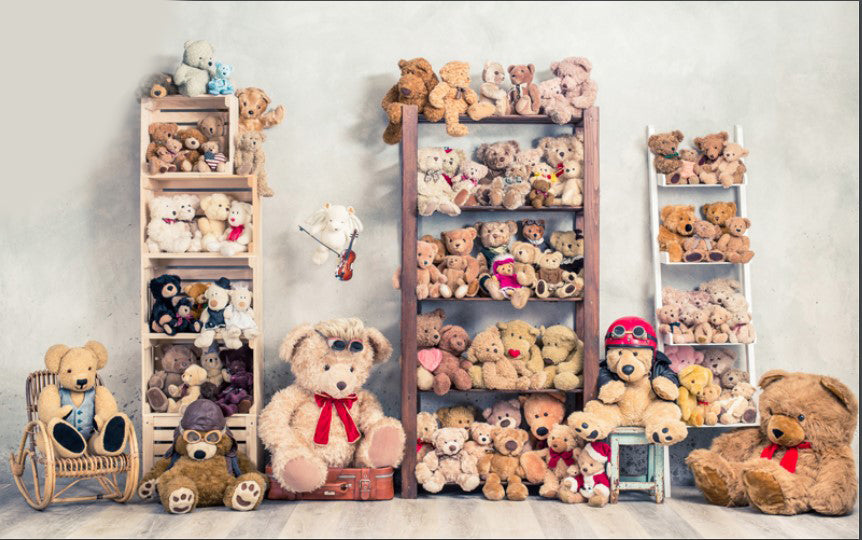 Teddy Bear Setup