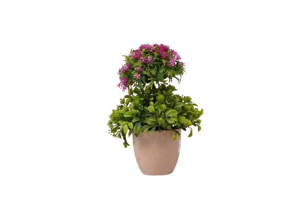 Flower Pot-Violet Flower With Leaves