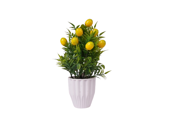 Flower Pot-Lemon Plant