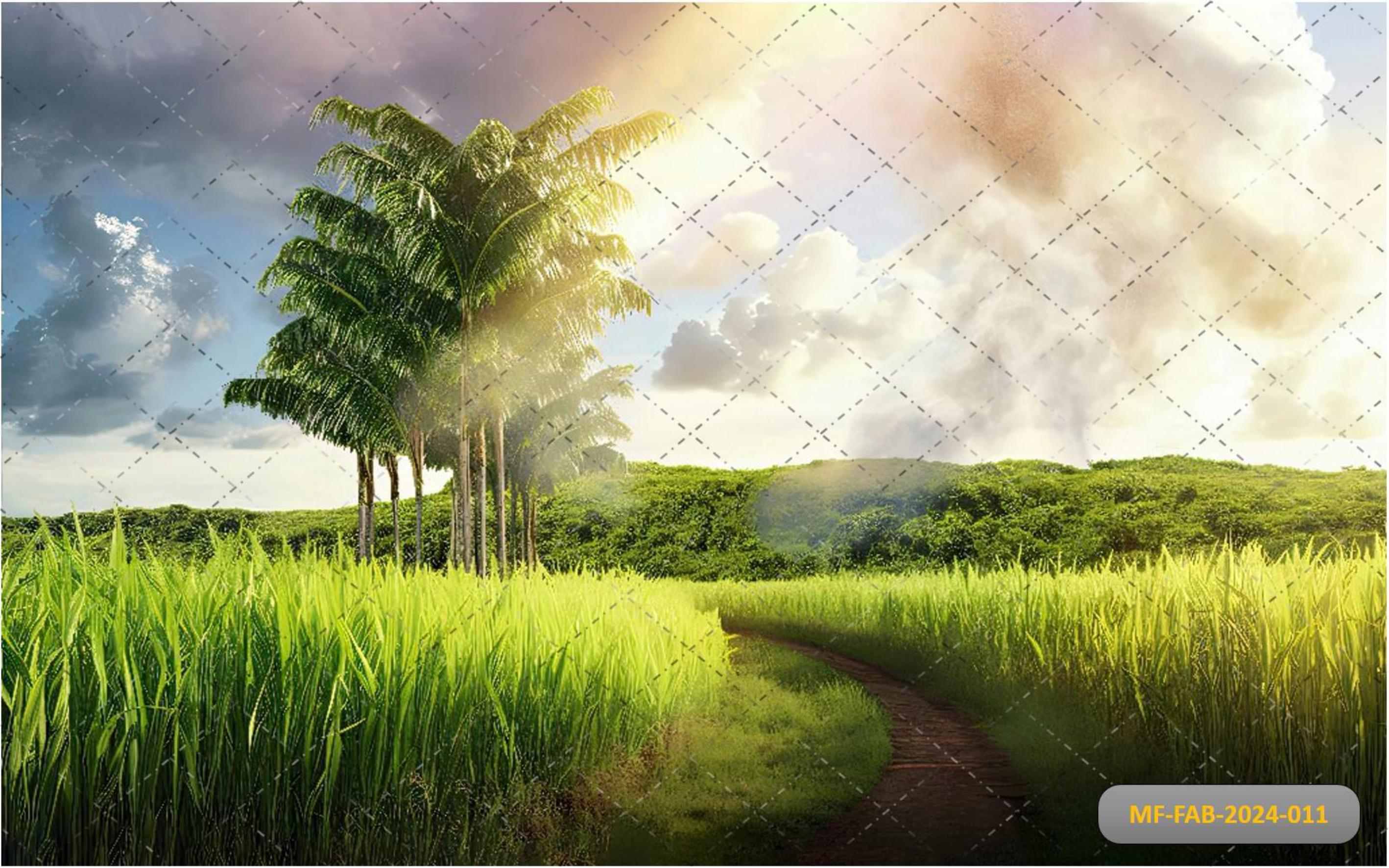 Field Sugar Cane babyphotoshoot Backdrop