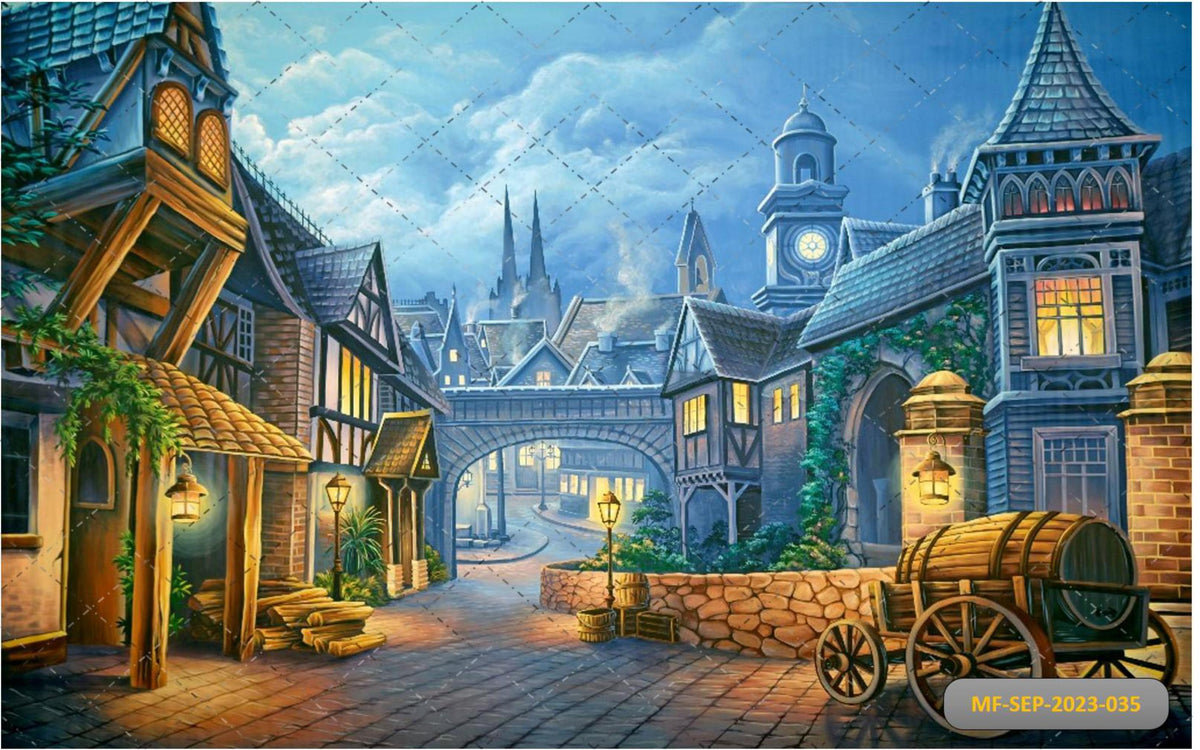 Disney World Backdrop-Fabric Backdrop