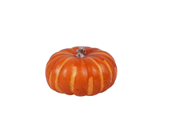 Artificial Fruit-Pumpkin