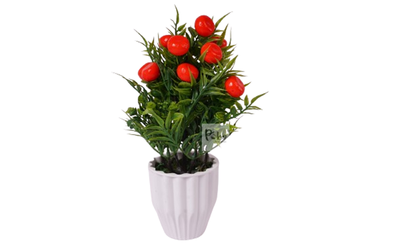 Flower Pot-Red Lemon Plant