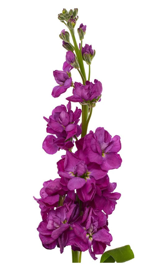 Artificial Lavender Delphinium flower