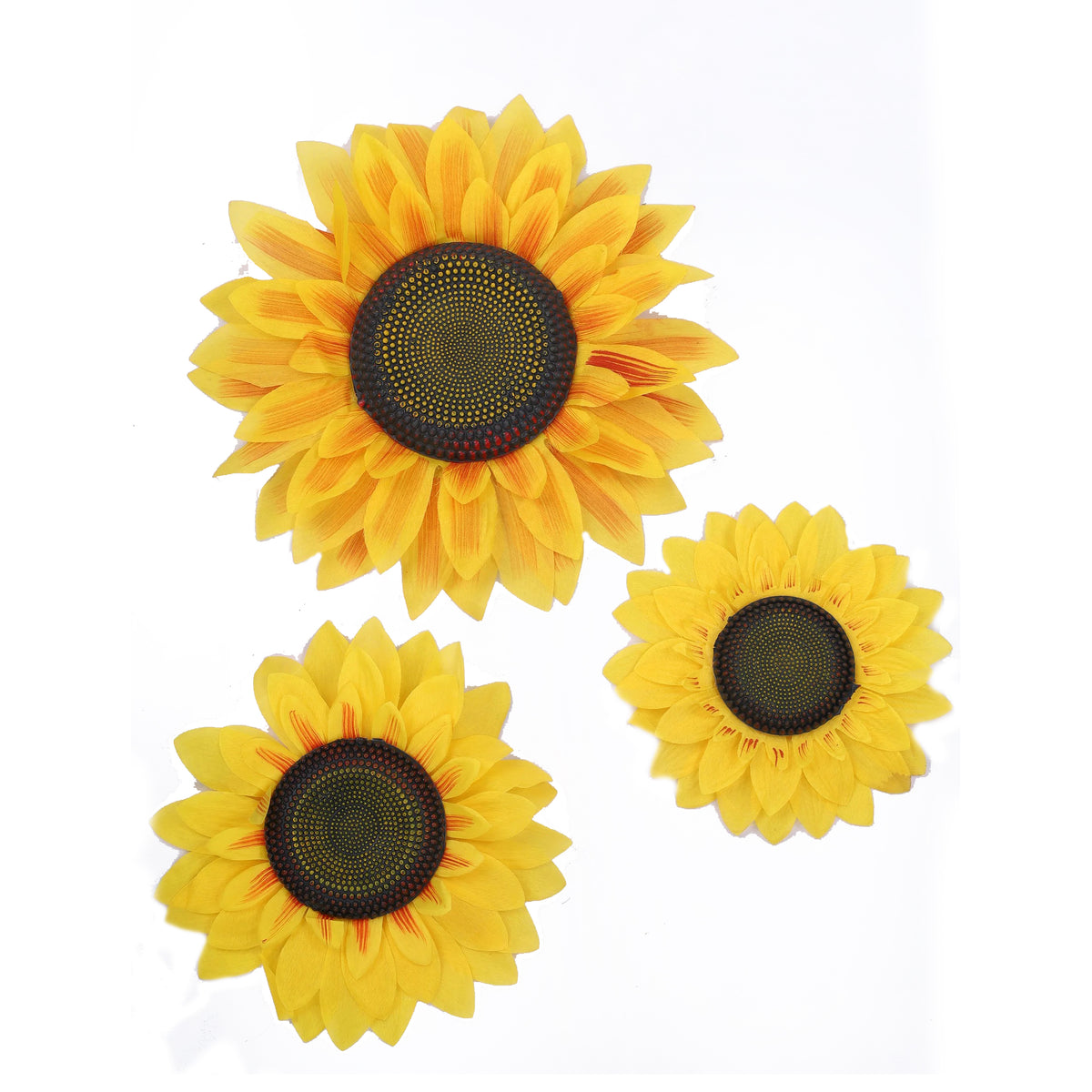 Sunflowers set