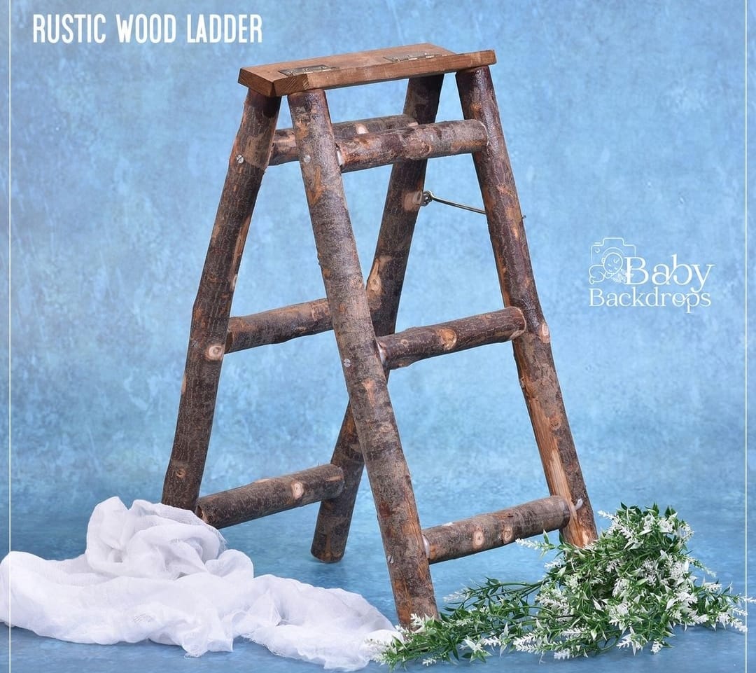 Rustic Ladder